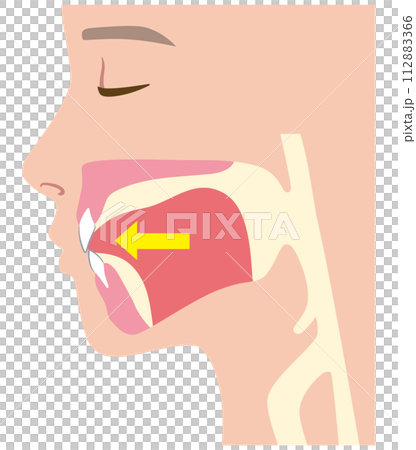 下がっている舌の位置 下がっている舌の位置 112883366