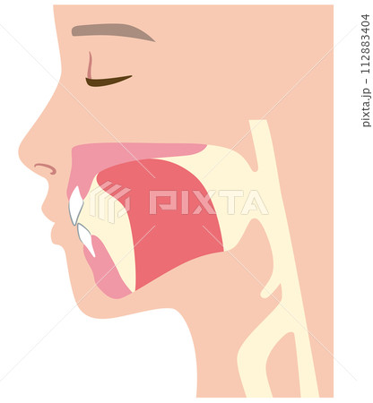 正しい舌の位置　ミューイング 112883404