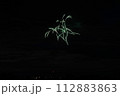 線香花火 112883863