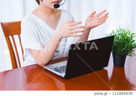 z世代 が リモート で 人事面談 ( 1 on 1 )を受ける【 リモートワーク の イメージ 】 112884036