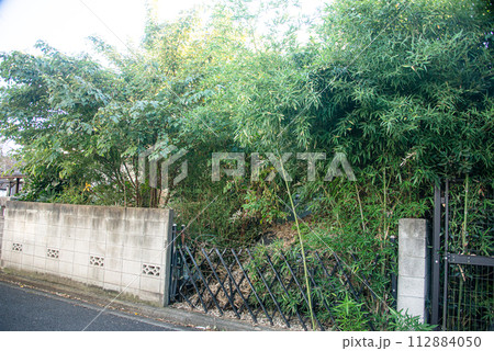 木の繁った空き家の風景 112884050