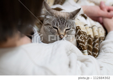 毛布の中の猫 シャムトラ猫 毛布の中の猫 シャムトラ猫 112884302