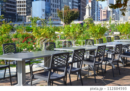 大阪 中之島バラ園の風景 大阪 中之島バラ園の風景 112884593