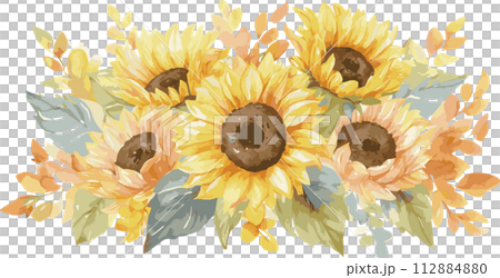 絵画 向日葵 夏の花 開運 水彩 植物 ボタニカルアート watercolor 絵画 向日葵 夏の花 開運 水彩 植物 ボタニカルアート