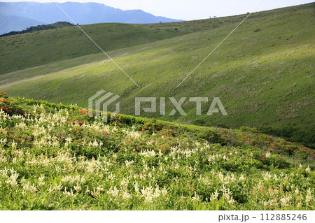 夏のビーナスライン 夏のビーナスライン 112885246