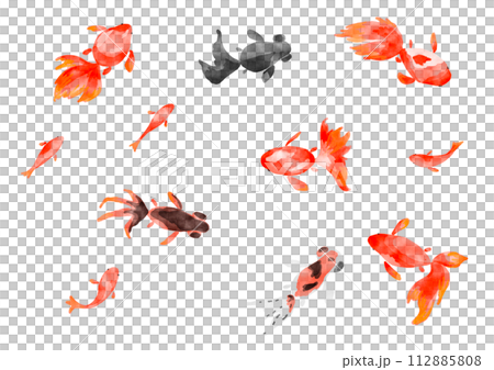 手繪金魚設定水彩風格 手繪金魚設定水彩風格 112885808