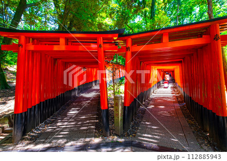 伏見稲荷大社の千本鳥居 112885943
