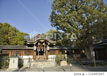 晴明神社 御神木と御本殿 横構図2 晴明神社 御神木と御本殿 横構図2 112885947