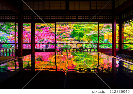 瑠璃光院の紅葉と写り込み 瑠璃光院の紅葉と写り込み 112886046
