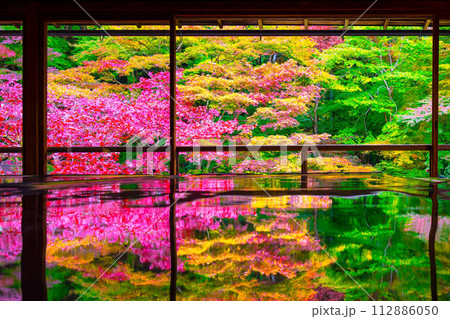瑠璃光院の紅葉と写り込み 瑠璃光院の紅葉と写り込み 112886050