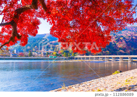 嵐山 イロハモミジの紅葉と渡月橋 嵐山 イロハモミジの紅葉と渡月橋 112886089