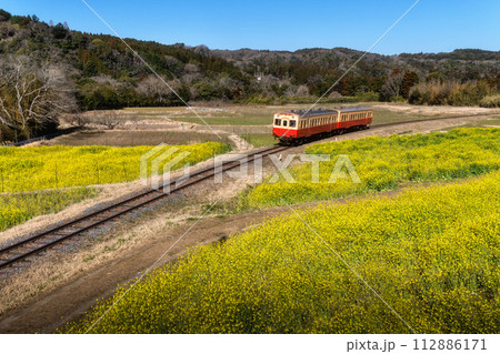 菜の花といすみ鉄道 菜の花といすみ鉄道 112886171