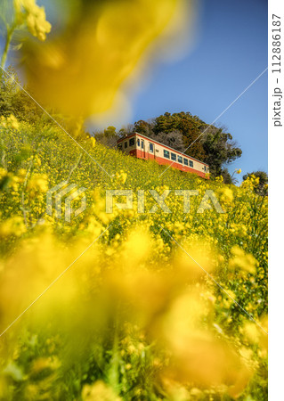 菜の花といすみ鉄道 菜の花といすみ鉄道 112886187