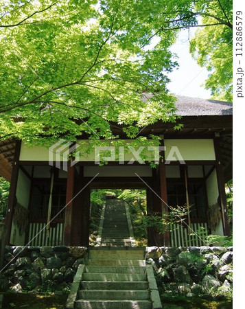 新緑の頃の常寂光寺の風景 112886579