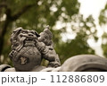 空を見上げる狛犬 112886809