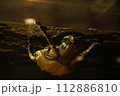 水中から顔を出す亀 112886810