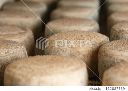Production of artisanal cheese. In the curing process. 112887589