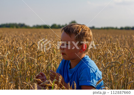 Sitting down to rest in a wheat field in the summer, a child chews a straw. A child admires nature while sitting in a wheat field on a sunny day in summer. Concept of a child in a wheat field. Sitting down to rest in a wheat field in the summer, a child chews a straw. A child admires nature while sitting in a wheat field on a sunny day in summer. Concept of a child in a wheat field. 112887660