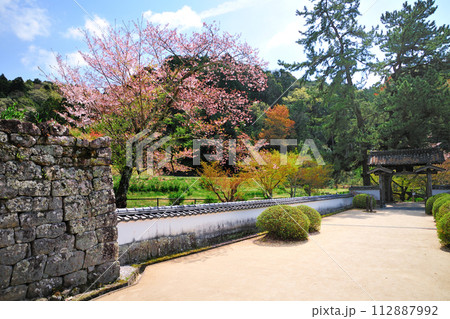 松平郷　高月院の春景色 112887992