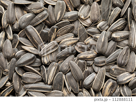 Raw dried salted sunflower seeds top view macro background. Raw dried salted sunflower seeds top view macro background. 112888111