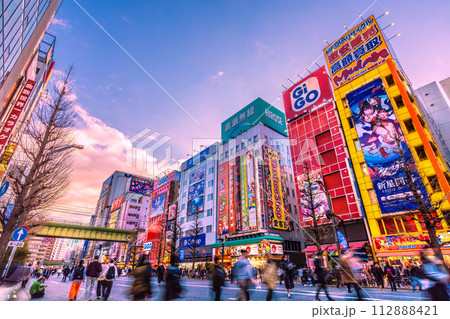 日本の東京都市景観 外国人観光客らで賑わう秋葉原の歩行者天国などを望む＝18日 112888421