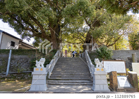 山王神社の被爆クスノキ【長崎県長崎市】 112889765