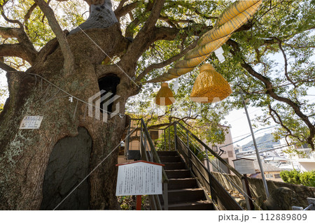山王神社の被爆クスノキ【長崎県長崎市】 112889809