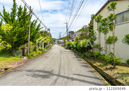 【重要伝統的建造物群保存地区】福住　初夏の川原地区の風景2　兵庫県丹波篠山市 112889846
