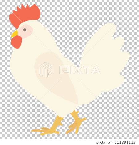 歩く一羽の白い雄鶏のイラスト 112891113