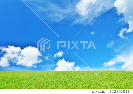 爽やかな夏の青空と新緑の草原風景 112892011