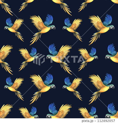 Tropical flying blue-yellow macaw parrot. Hand drawn watercolor botanical illustration. Seamless pattern on a dark background 112892057
