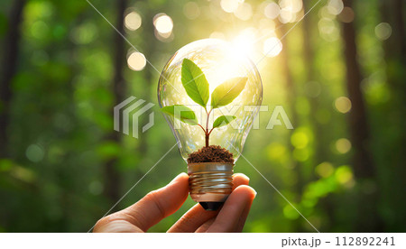 Hand Holding a Light Bulb with Small Plant Inside - Generative Ai 112892241