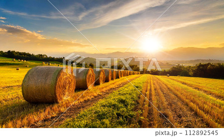 Row of Hay Bales on a Golden Beautiful Landscape at Sunrise - Generative Ai Row of Hay Bales on a Golden Beautiful Landscape at Sunrise - Generative Ai 112892545