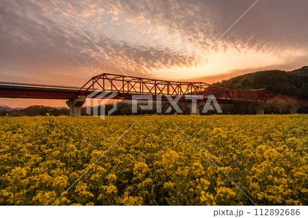 夕日と赤橋と菜の花畑 夕日と赤橋と菜の花畑 112892686