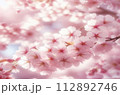 満開の桜の花のクローズアップ撮影 112892746
