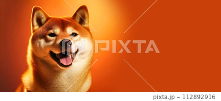 Portrait of Red Shiba Inu Dog on a Yellow and Orange Background - Generative Ai 112892916