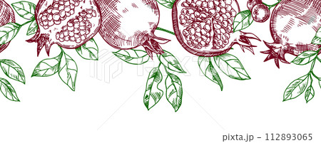 seamless border of fruits and pomegranate leaves, hand drawn in sketch style. 112893065