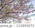 桜のある風景 桜のある風景 112893072