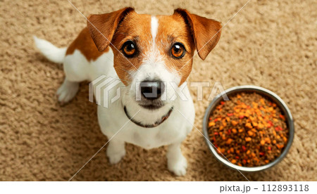Jack Russell Terrier Dog Looking at Camera Waiting for his Treat - Generative Ai Jack Russell Terrier Dog Looking at Camera Waiting for his Treat - Generative Ai 112893118