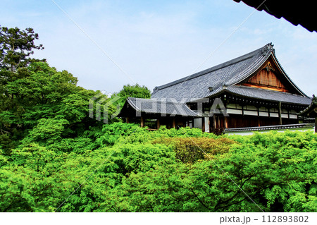 【京都】春の東福寺　通天橋から望む鮮やかな青もみじと方丈 112893802