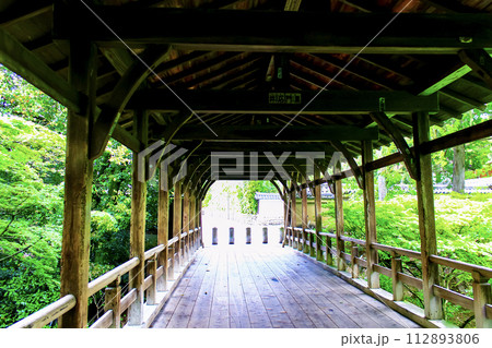 【京都】春の東福寺　臥雲橋と鮮やかな青もみじ 112893806