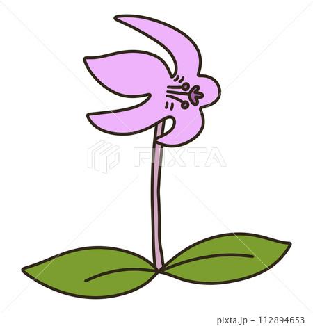 カタクリ カタクリ 112894653