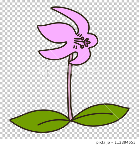 カタクリ カタクリ 112894653