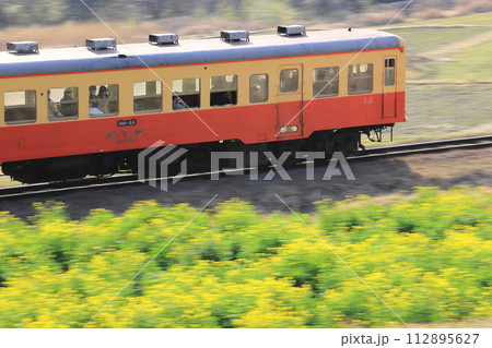 小湊鐵道「石神の菜の花畑を走る列車」背景流し撮り 112895627