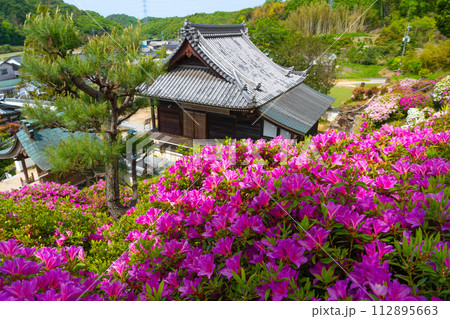 報恩大師備前四十八ヶ寺 ツツジが満開の朝日寺2 岡山県瀬戸内市 報恩大師備前四十八ヶ寺 ツツジが満開の朝日寺2 岡山県瀬戸内市 112895663