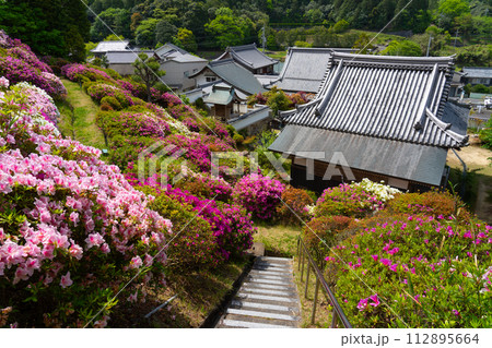 報恩大師備前四十八ヶ寺　ツツジが満開の朝日寺3　岡山県瀬戸内市 112895664