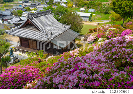 報恩大師備前四十八ヶ寺　ツツジが満開の朝日寺4　岡山県瀬戸内市 112895665