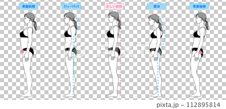 姿勢改善 姿勢矯正 猫背 ストレートネック 骨盤後傾 骨盤前傾の女性のイラスト 全身横向き 112895814