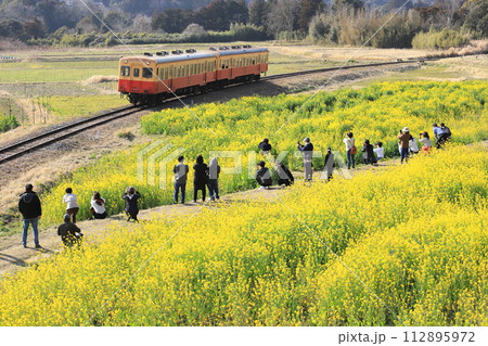 小湊鐵道「石神の菜の花畑で列車を撮影する人々」 112895972