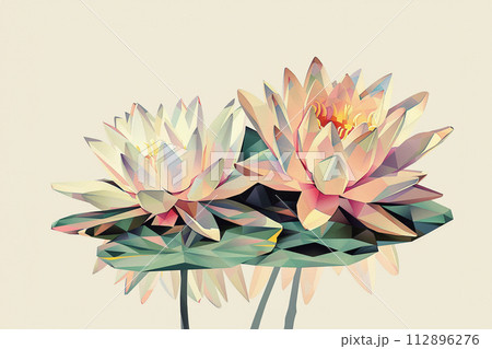 White pink waterlily or lotus flower in pond. 112896276